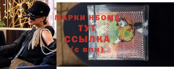 твердый Новодвинск