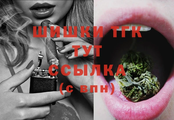 твердый Новодвинск