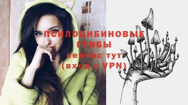 MDMA Нефтегорск