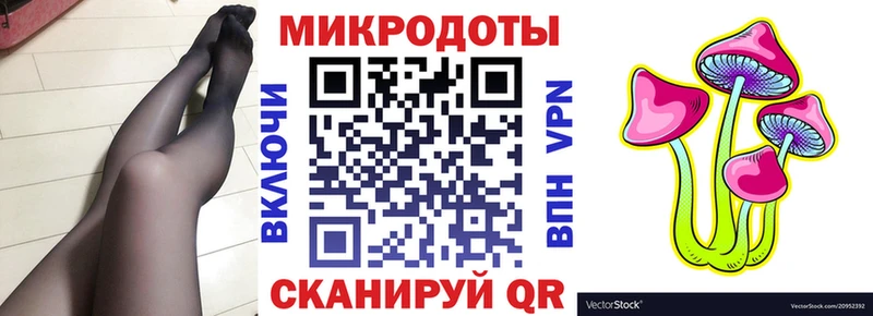 Галлюциногенные грибы прущие грибы  Андреаполь 