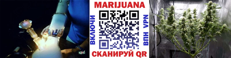 Канабис сатива  MEGA как войти  Андреаполь 